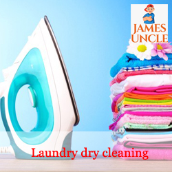 Laundry Dry cleaner Mr. Sanjoy Dutta in Sarsoona
